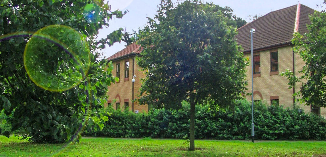 General & Medical Healthcare